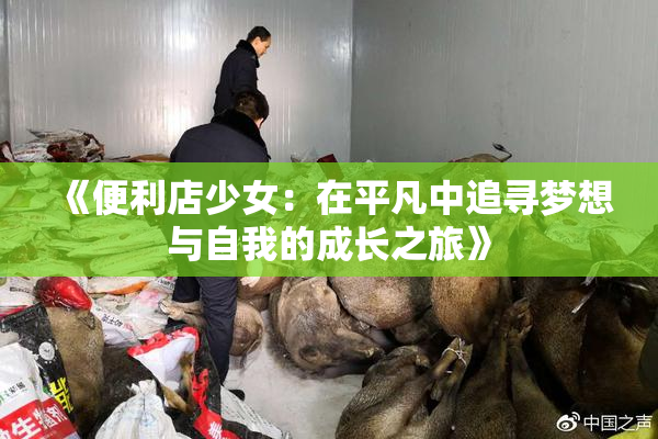 《便利店少女：在平凡中追寻梦想与自我的成长之旅》