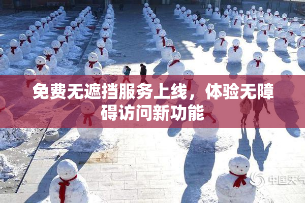 免费无遮挡服务上线，体验无障碍访问新功能