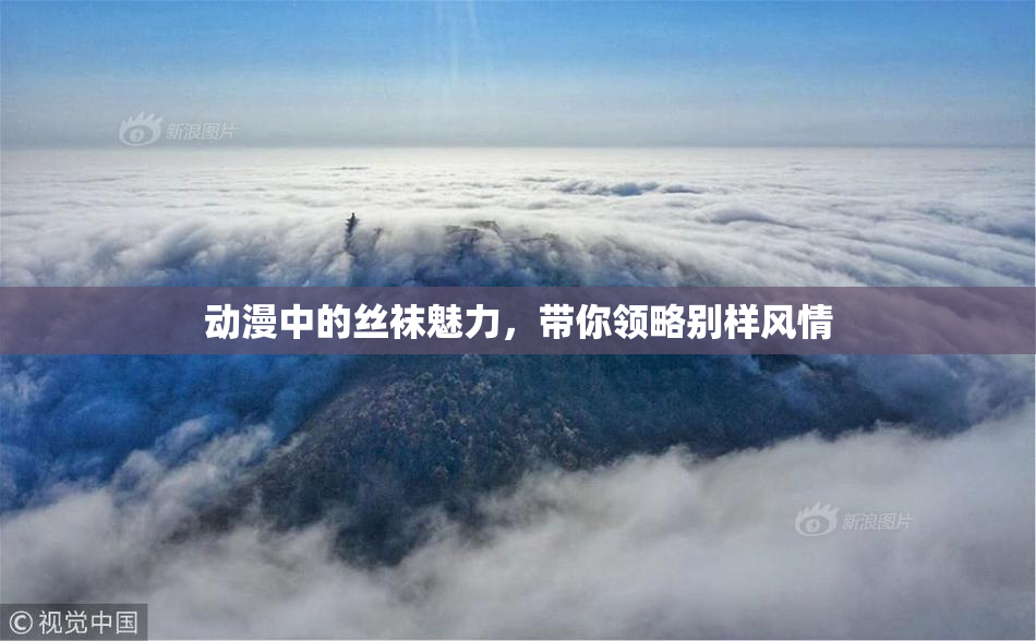 动漫中的丝袜魅力，带你领略别样风情