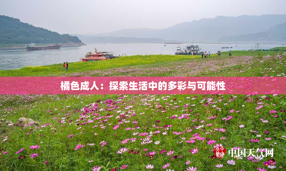 橘色成人：探索生活中的多彩与可能性