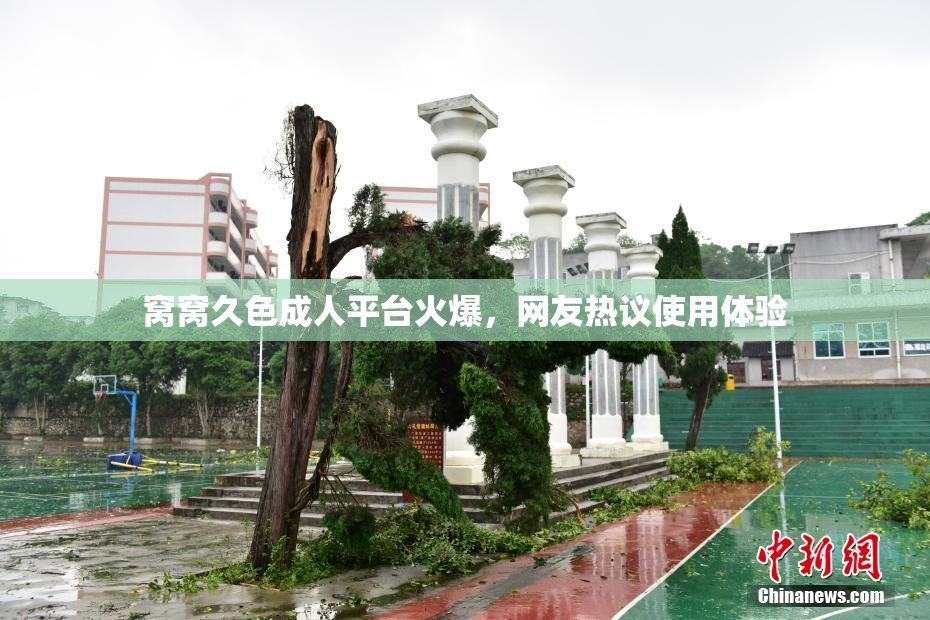 窝窝久色成人平台火爆，网友热议使用体验