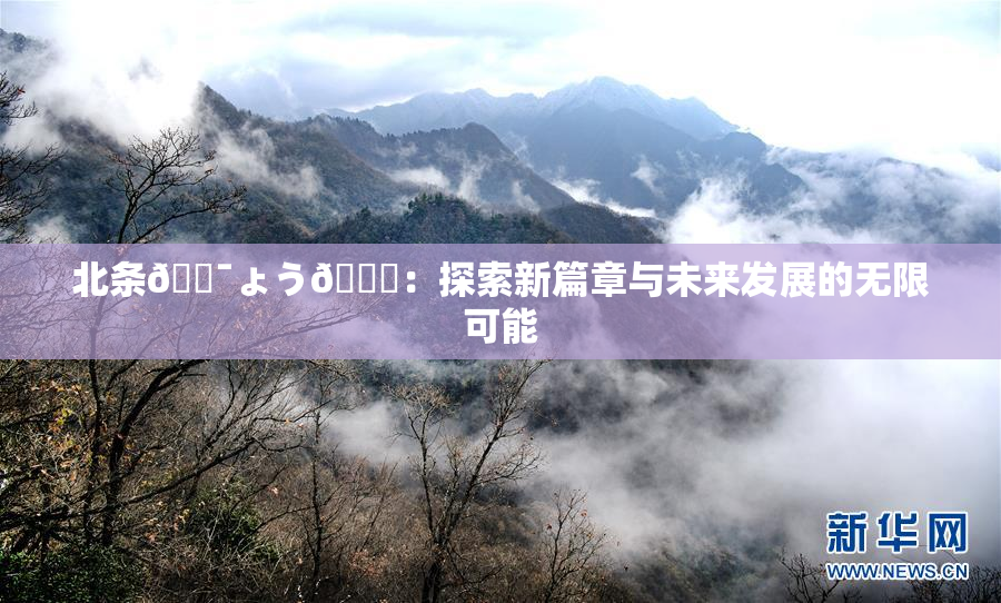 北条🔯ょう🍓：探索新篇章与未来发展的无限可能