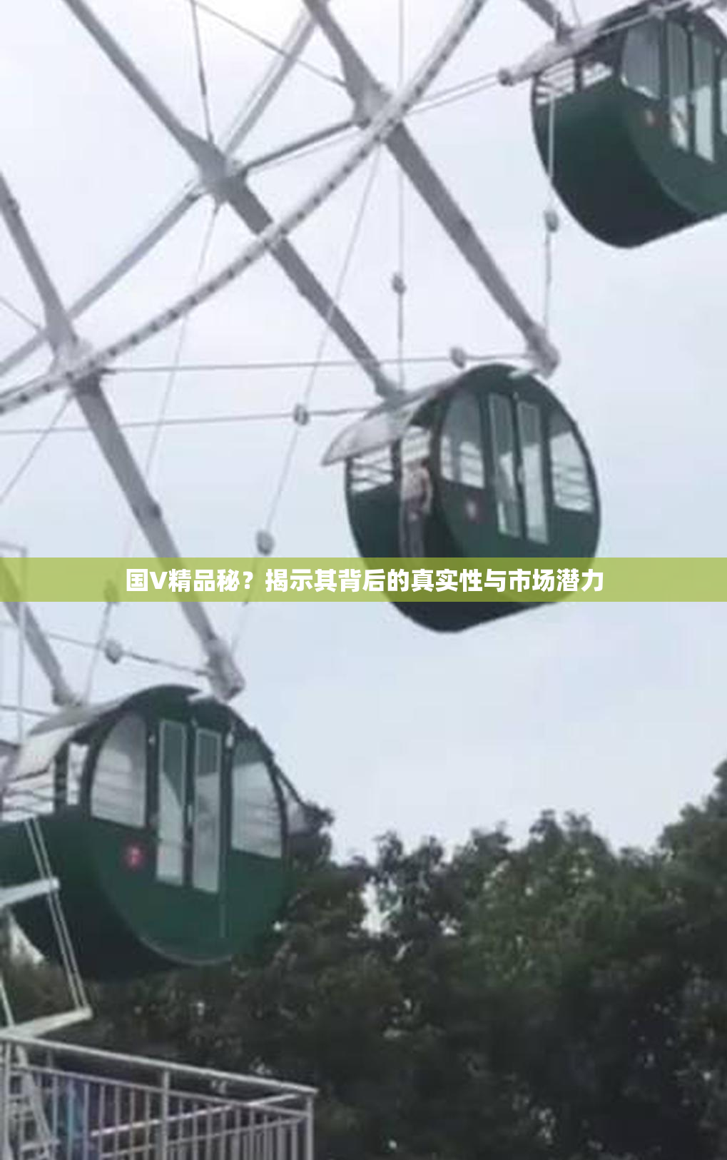 国V精品秘？揭示其背后的真实性与市场潜力