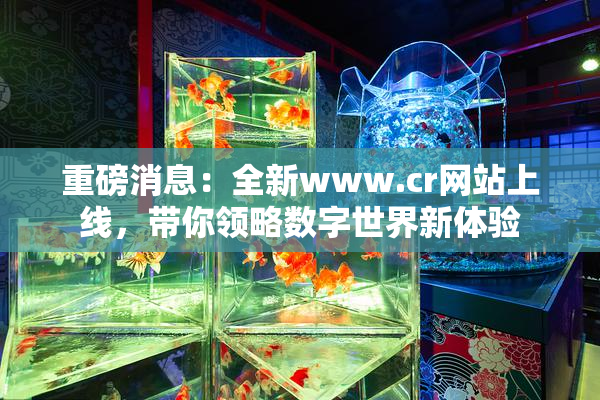 重磅消息：全新www.cr网站上线，带你领略数字世界新体验