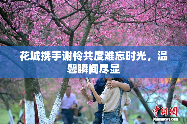 花城携手谢怜共度难忘时光，温馨瞬间尽显