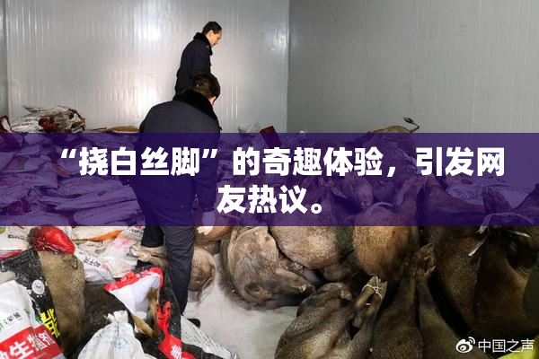 “挠白丝脚”的奇趣体验，引发网友热议。