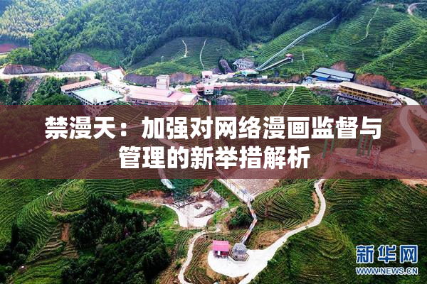 禁漫天：加强对网络漫画监督与管理的新举措解析