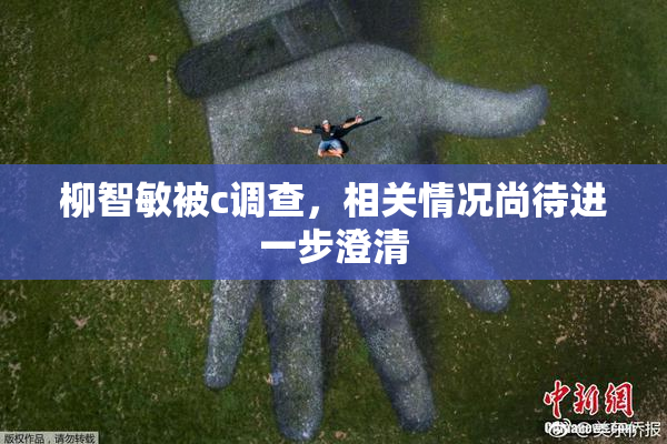 柳智敏被c调查，相关情况尚待进一步澄清