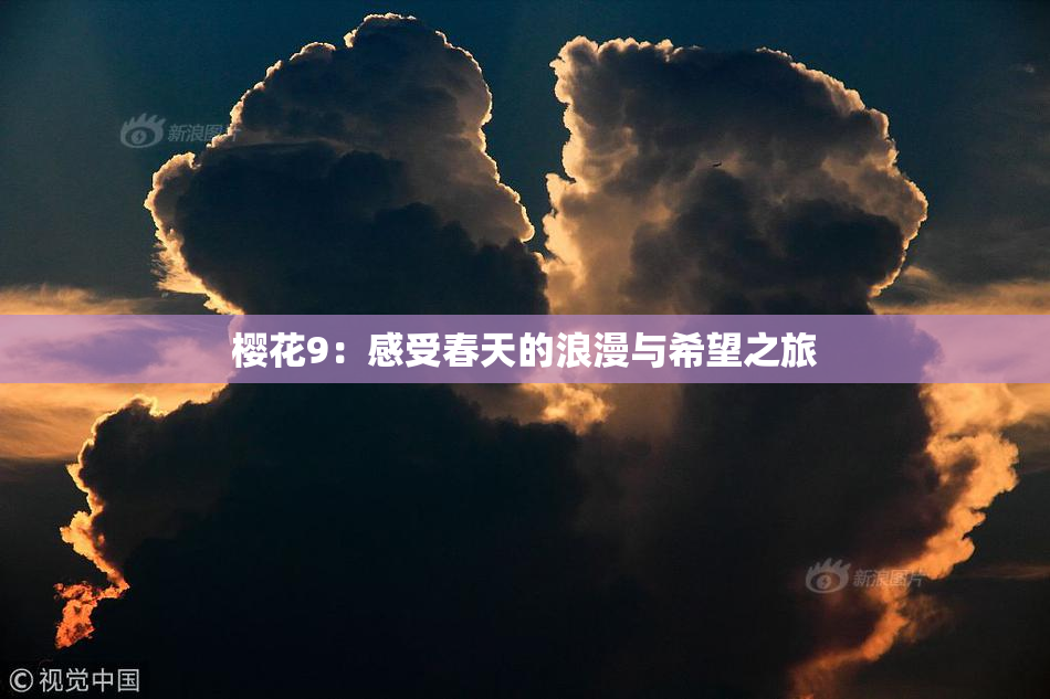 樱花9：感受春天的浪漫与希望之旅