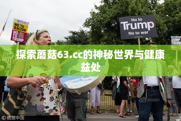 探索蘑菇63.㏄的神秘世界与健康益处