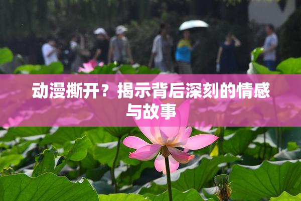 动漫撕开？揭示背后深刻的情感与故事