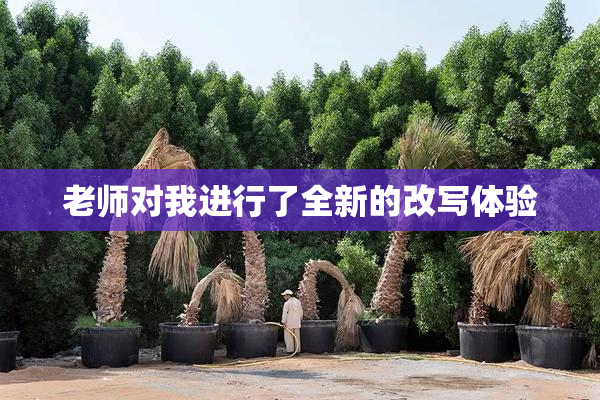 老师对我进行了全新的改写体验