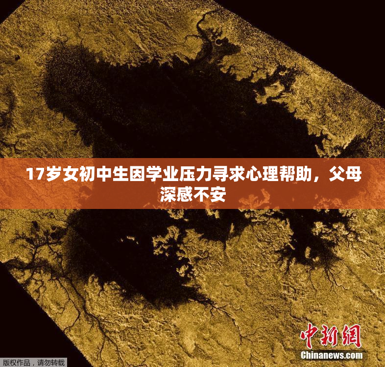 17岁女初中生因学业压力寻求心理帮助，父母深感不安