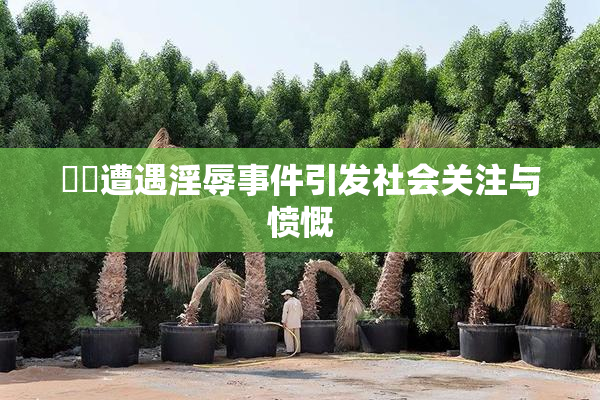 妺妺遭遇淫辱事件引发社会关注与愤慨