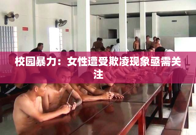 校园暴力：女性遭受欺凌现象亟需关注