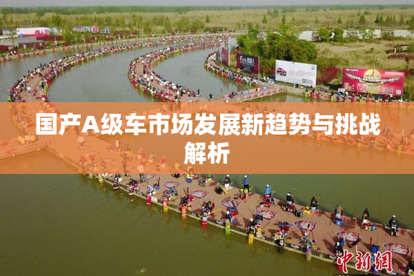 国产A级车市场发展新趋势与挑战解析