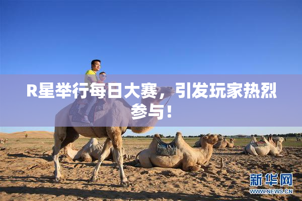 R星举行每日大赛，引发玩家热烈参与！