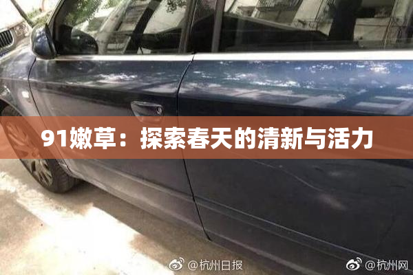 91嫩草：探索春天的清新与活力