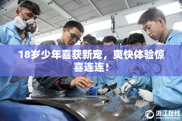18岁少年喜获新宠，爽快体验惊喜连连！