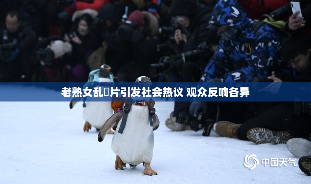 老熟女乱婬片引发社会热议 观众反响各异