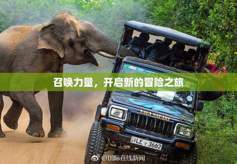 召唤力量，开启新的冒险之旅