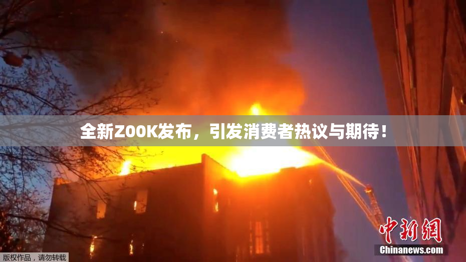 全新Z00K发布，引发消费者热议与期待！