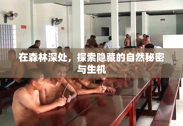 在森林深处，探索隐藏的自然秘密与生机