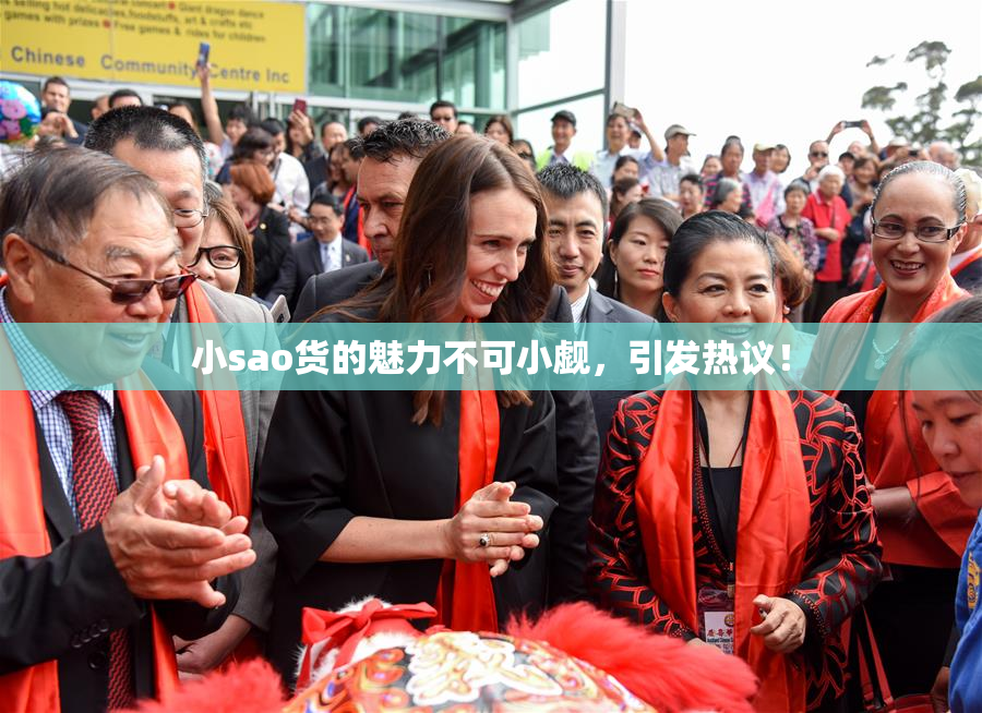 小sao货的魅力不可小觑，引发热议！