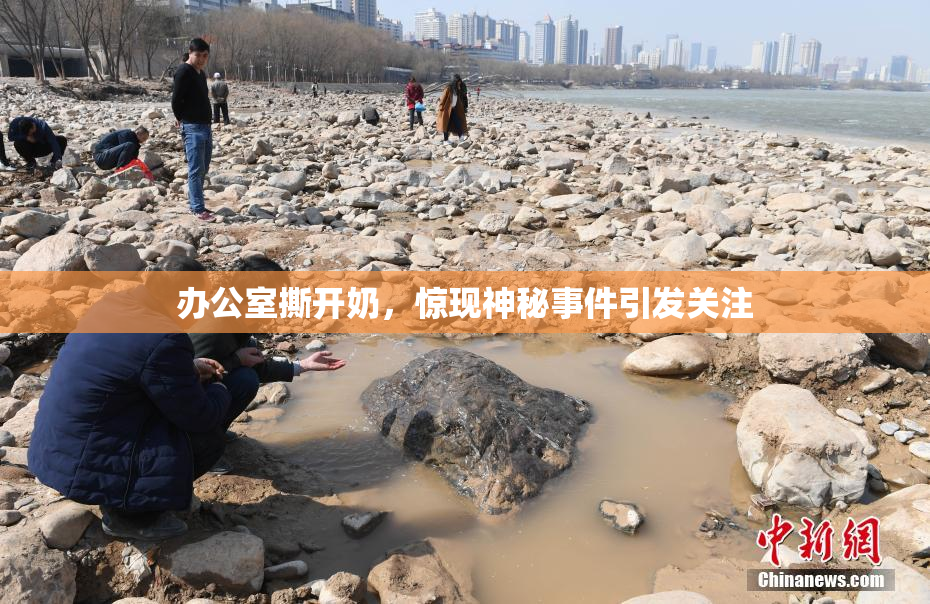 办公室撕开奶，惊现神秘事件引发关注