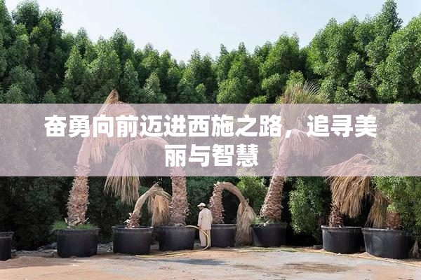 奋勇向前迈进西施之路，追寻美丽与智慧