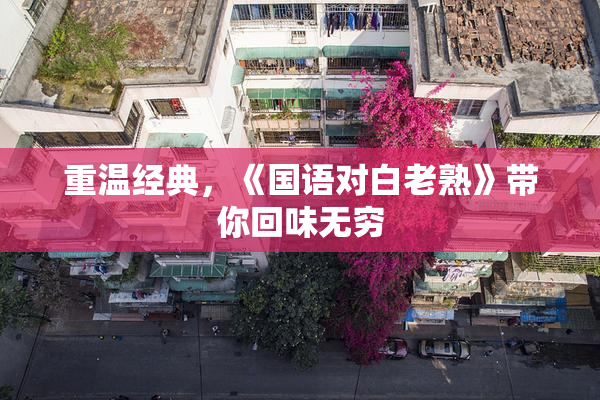 重温经典，《国语对白老熟》带你回味无穷