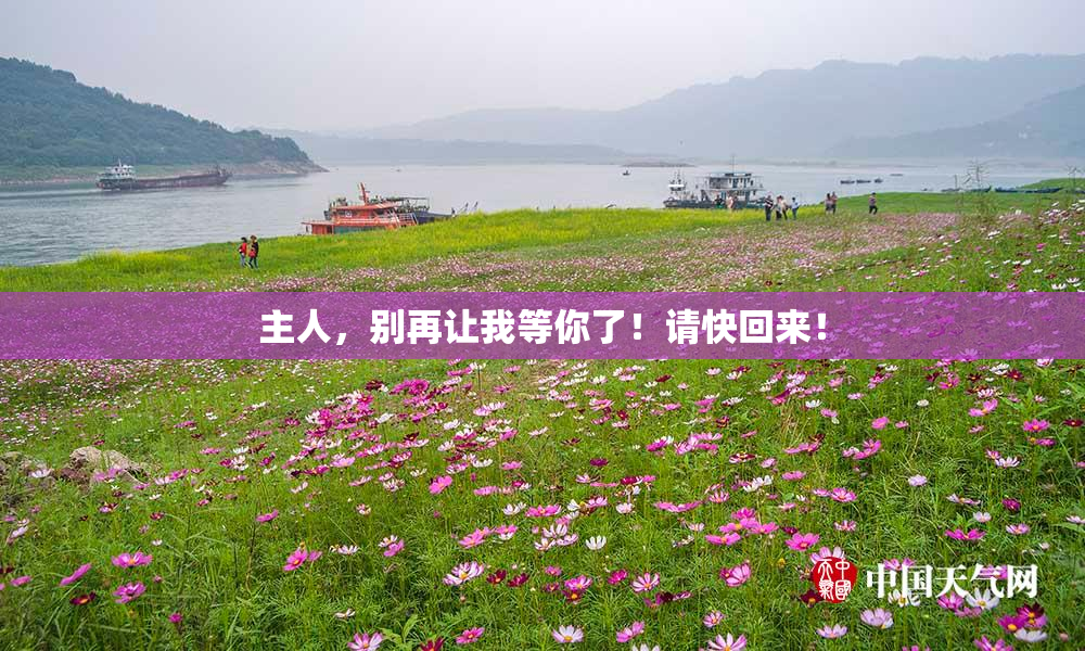 主人，别再让我等你了！请快回来！