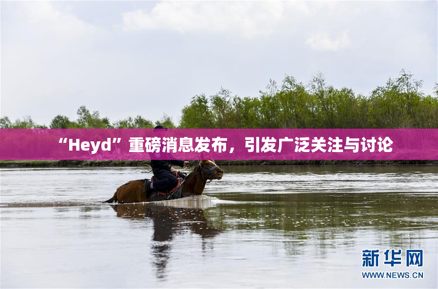 “Heyd”重磅消息发布，引发广泛关注与讨论
