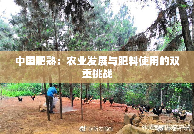 中国肥熟：农业发展与肥料使用的双重挑战