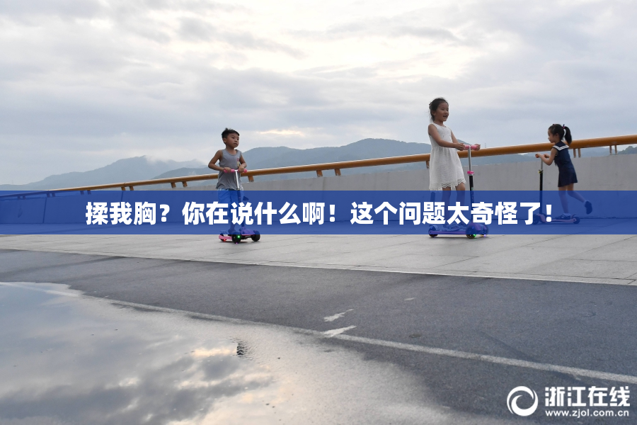 揉我胸？你在说什么啊！这个问题太奇怪了！