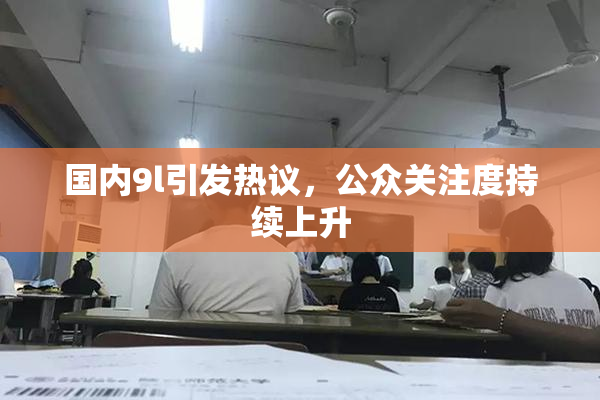 国内9l引发热议，公众关注度持续上升