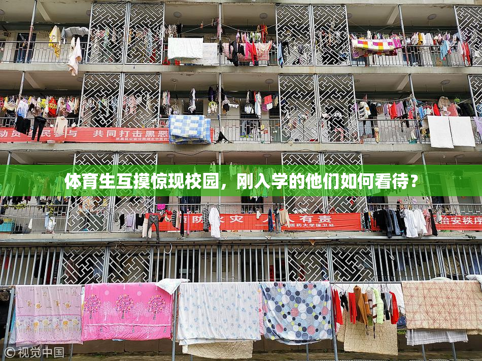 体育生互摸惊现校园，刚入学的他们如何看待？