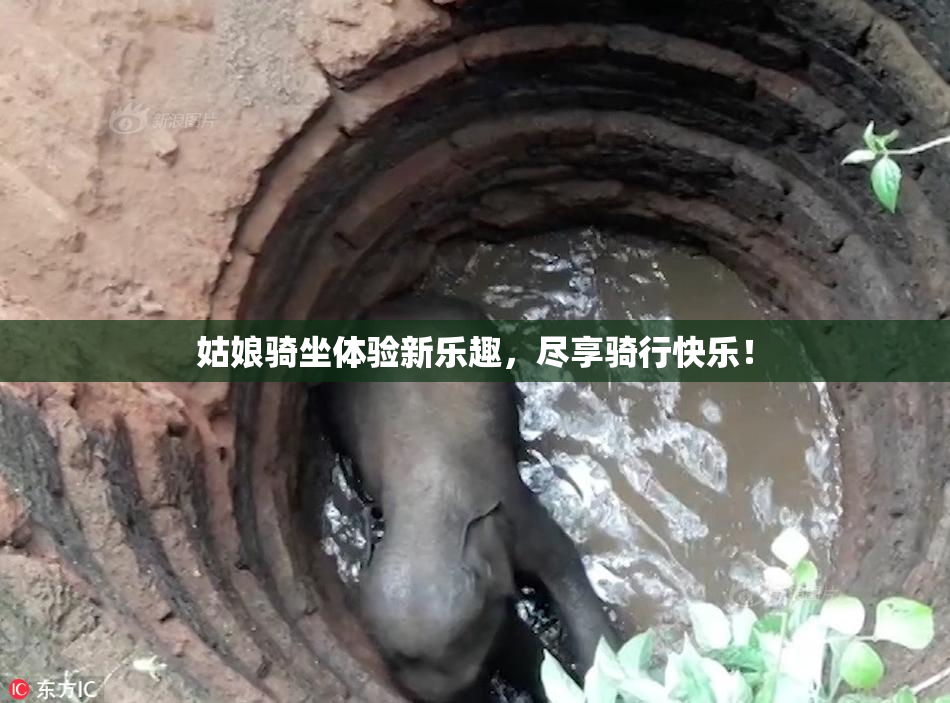 姑娘骑坐体验新乐趣，尽享骑行快乐！