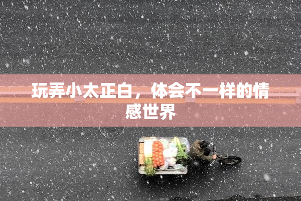 玩弄小太正白，体会不一样的情感世界