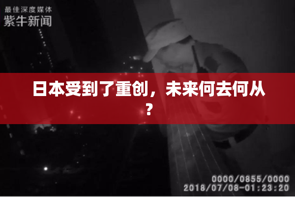 日本受到了重创，未来何去何从？