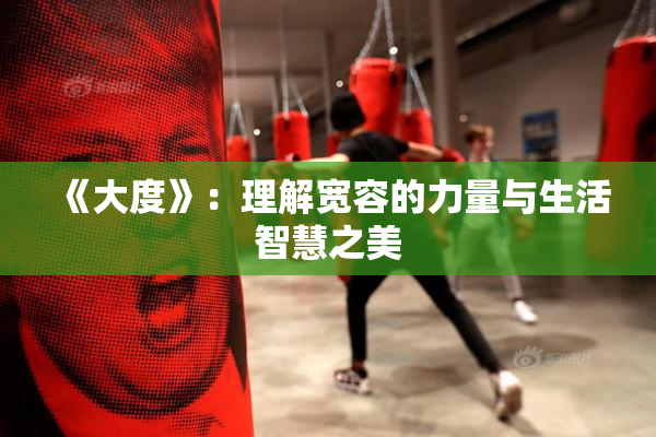 《大度》：理解宽容的力量与生活智慧之美