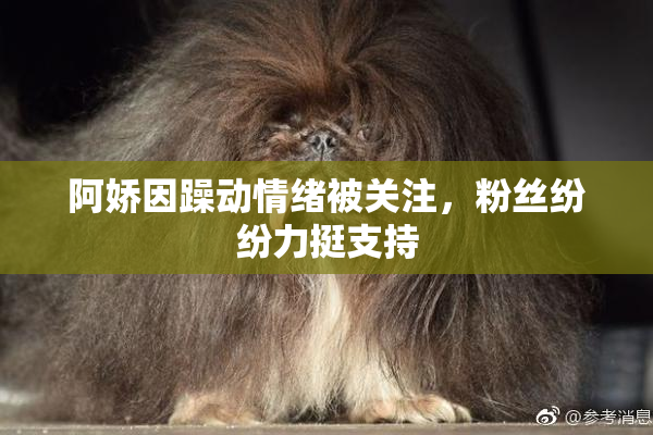 阿娇因躁动情绪被关注，粉丝纷纷力挺支持