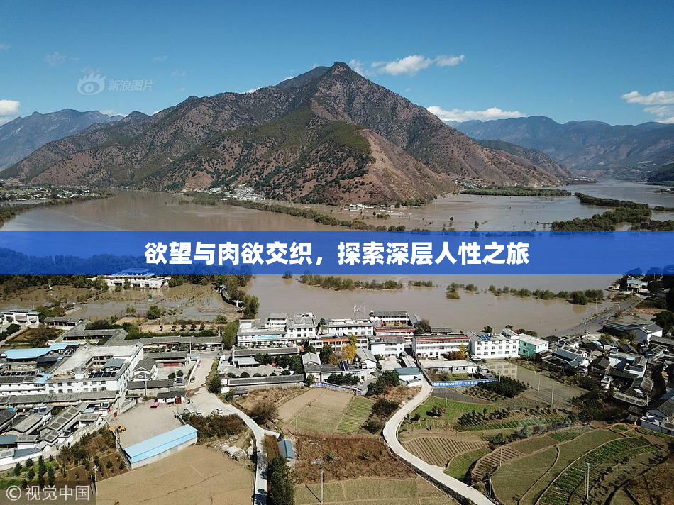 欲望与肉欲交织，探索深层人性之旅