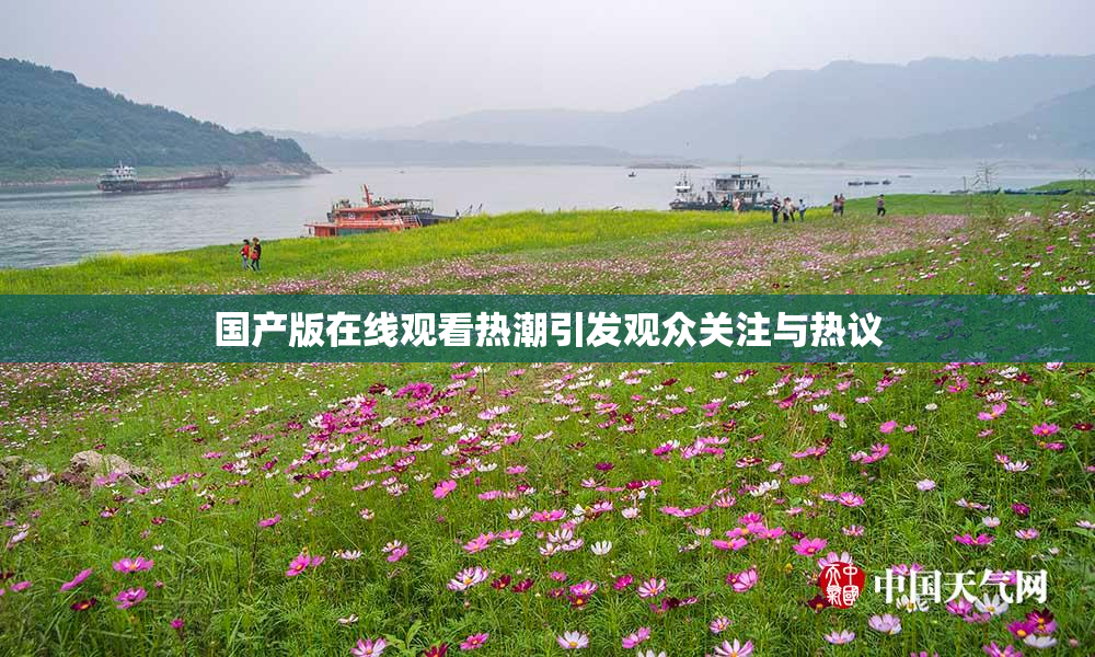 国产版在线观看热潮引发观众关注与热议