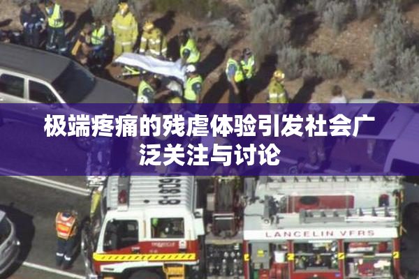极端疼痛的残虐体验引发社会广泛关注与讨论