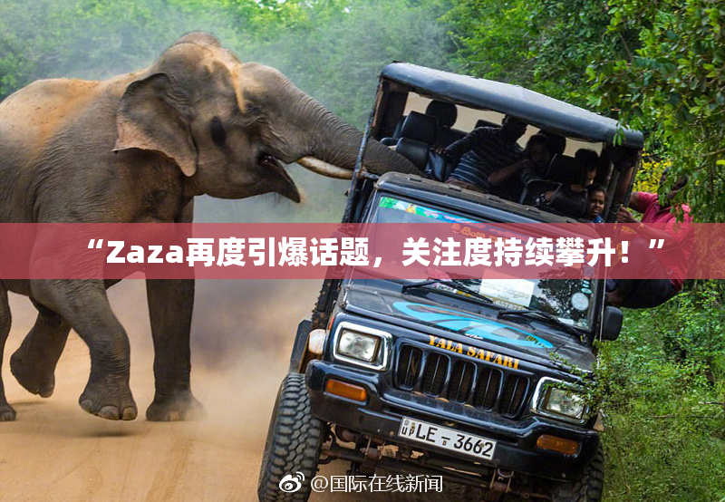 “Zaza再度引爆话题，关注度持续攀升！”