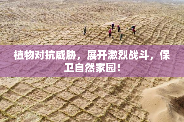 植物对抗威胁，展开激烈战斗，保卫自然家园！