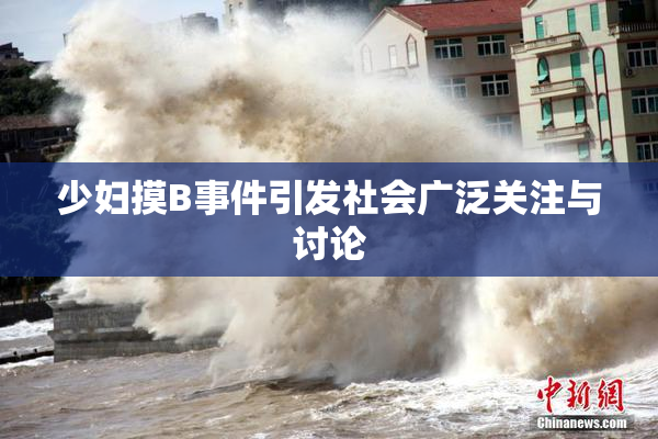 少妇摸B事件引发社会广泛关注与讨论