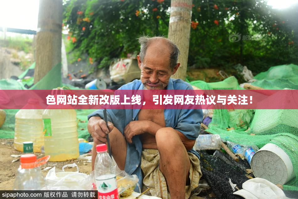 色网站全新改版上线，引发网友热议与关注！