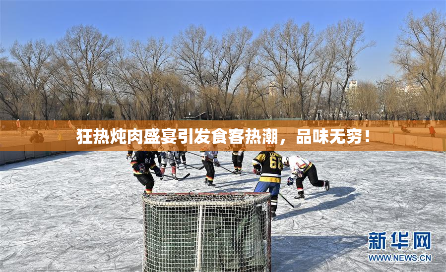 狂热炖肉盛宴引发食客热潮，品味无穷！